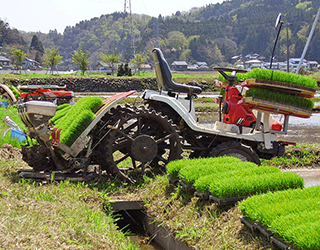 水旱两用动力底盘升级