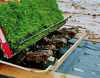 高通过防陷结构