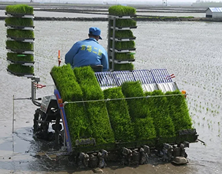 全覆盖覆膜系统